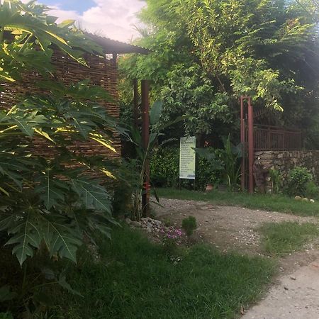 Tara Guesthouse - Sauraha,Chitwan Buitenkant foto