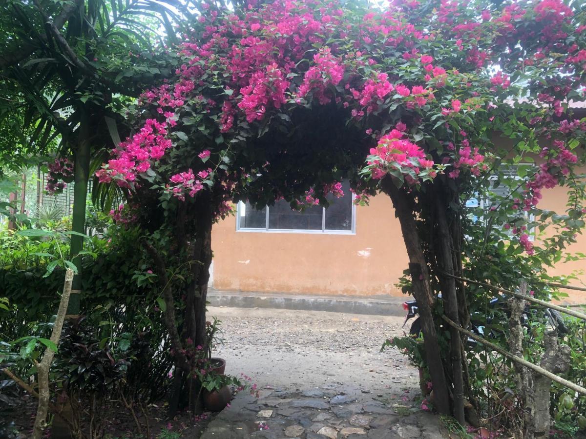 Tara Guesthouse - Sauraha,Chitwan Buitenkant foto