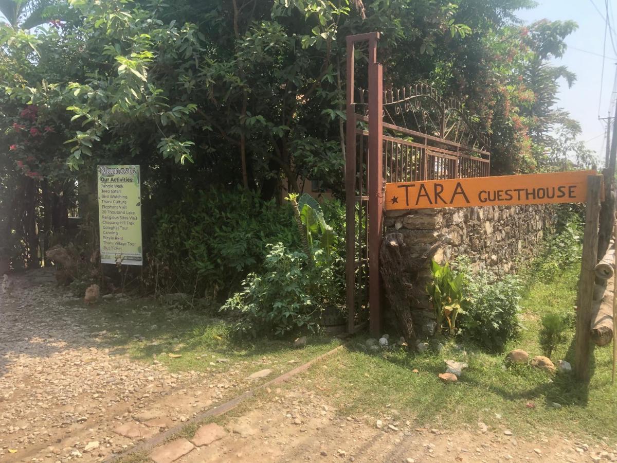 Tara Guesthouse - Sauraha,Chitwan Buitenkant foto