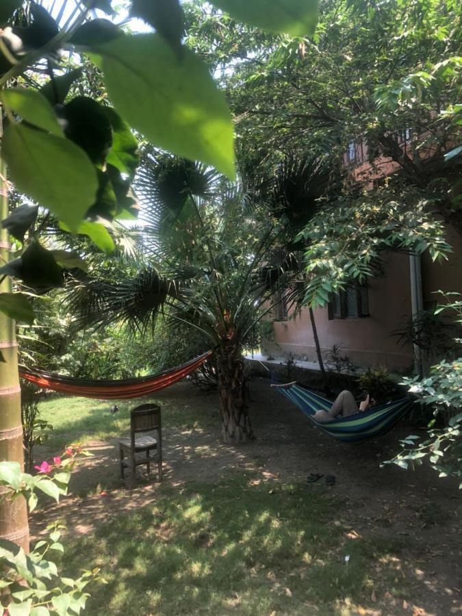 Tara Guesthouse - Sauraha,Chitwan Buitenkant foto