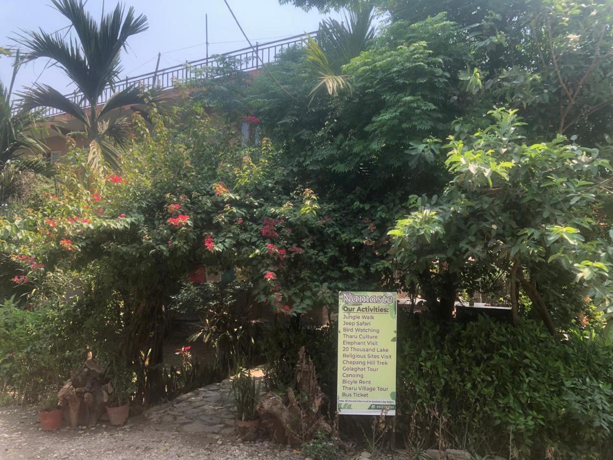 Tara Guesthouse - Sauraha,Chitwan Buitenkant foto