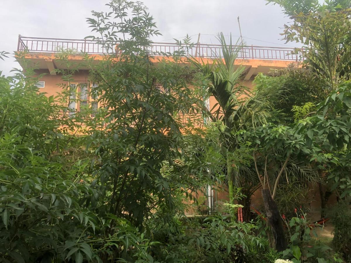 Tara Guesthouse - Sauraha,Chitwan Buitenkant foto
