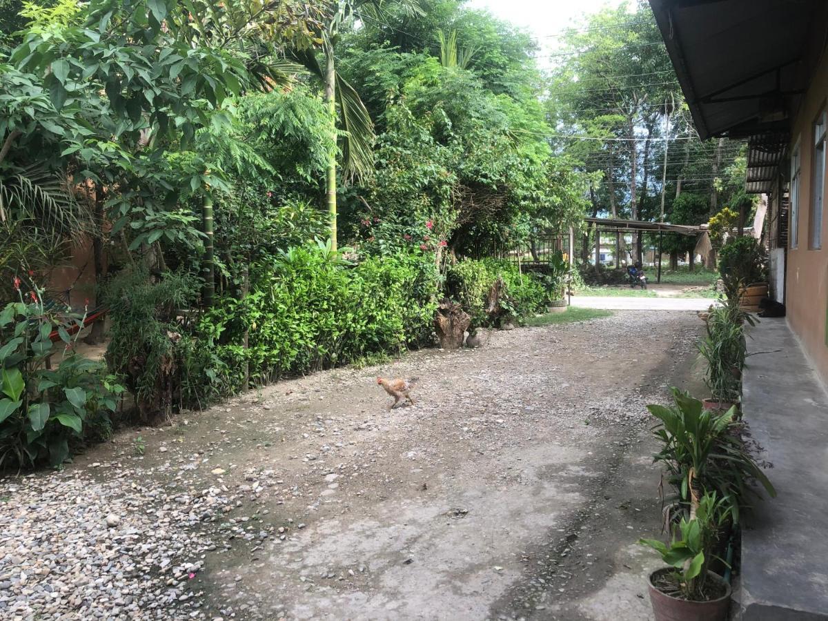 Tara Guesthouse - Sauraha,Chitwan Buitenkant foto