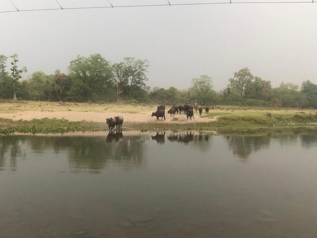 Tara Guesthouse - Sauraha,Chitwan Buitenkant foto