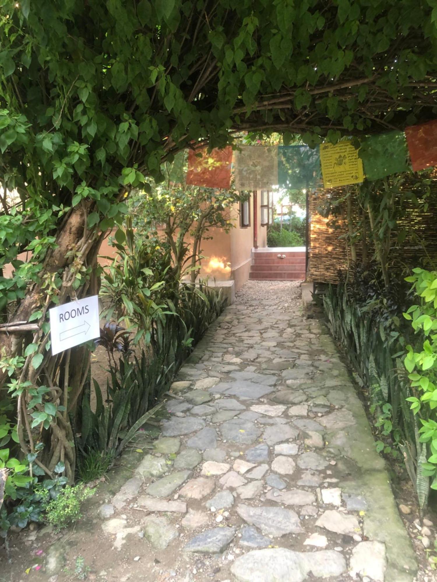 Tara Guesthouse - Sauraha,Chitwan Buitenkant foto